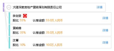 大理深度房地產(chǎn)營銷策劃有限責(zé)任公司 專業(yè)賦能，打造房地產(chǎn)營銷新高度
